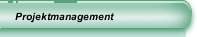 Projektmanagement